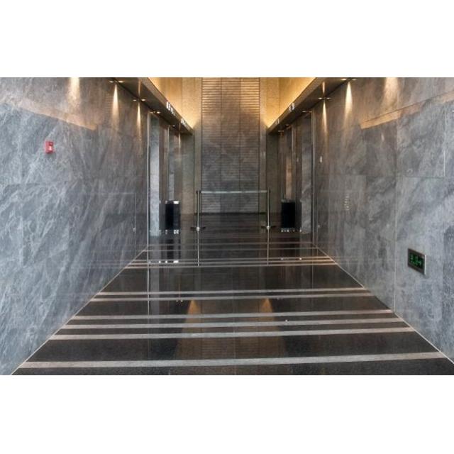 奥斯汀灰